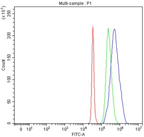 Flow cytometry testing of fixed and permeabilized human SH-SY5Y cells with Interferon regulatory factor 5 antibody at 1ug/million cells (blocked with goat sera); Red=cells alone, Green=isotype control, Blue= Interferon regulatory factor 5 antibody.