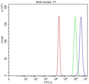 Flow cytometry testing of fixed and permeabilized human A431 cells with METTL18 antibody at 1ug/million cells (blocked with goat sera); Red=cells alone, Green=isotype control, Blue= METTL18 antibody.