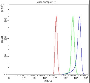 Flow cytometry testing of fixed and permeabilized human HEL cells with ITPRIPL1 antibody at 1ug/million cells (blocked with goat sera); Red=cells alone, Green=isotype control, Blue= ITPRIPL1 antibody.