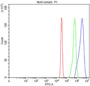 Flow cytometry testing of fixed and permeabilized human SiHa cells with Intersectin 1 antibody at 1ug/million cells (blocked with goat sera); Red=cells alone, Green=isotype control, Blue= Intersectin 1 antibody.