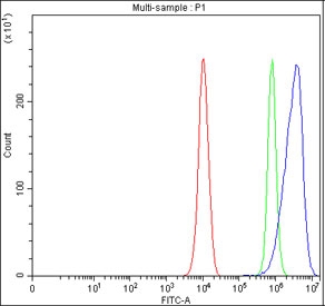 Flow cytometry testing of fixed and permeabilized human PC-3 cells with CALR antibody at 1ug/million cells (blocked with goat sera); Red=cells alone, Green=isotype control, Blue= CALR antibody.