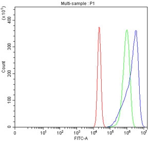 Flow cytometry testing of fixed and permeabilized human RT4 cells with Pyridoxal kinase antibody at 1ug/million cells (blocked with goat sera); Red=cells alone, Green=isotype control, Blue= Pyridoxal kinase antibody.