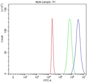 Flow cytometry testing of fixed and permeabilized human 293T cells with LRRC34 antibody at 1ug/million cells (blocked with goat sera); Red=cells alone, Green=isotype control, Blue= LRRC34 antibody.