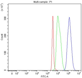 Flow cytometry testing of fixed human SH-SY5Y cells with PCPE1 antibody at 1ug/million cells (blocked with goat sera); Red=cells alone, Green=isotype control, Blue= PCPE1 antibody.