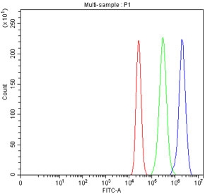 Flow cytometry testing of fixed and permeabilized human MCF7 cells with MIPEP antibody at 1ug/million cells (blocked with goat sera); Red=cells alone, Green=isotype control, Blue= MIPEP antibody.