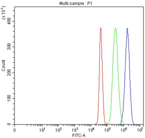 Flow cytometry testing of fixed and permeabilized human JK cells with PI4KB antibody at 1ug/million cells (blocked with goat sera); Red=cells alone, Green=isotype control, Blue= PI4KB antibody.