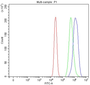Flow cytometry testing of fixed and permeabilized human MCF7 cells with PI4K2B antibody at 1ug/million cells (blocked with goat sera); Red=cells alone, Green=isotype control, Blue= PI4K2B antibody.