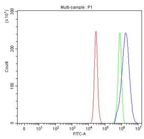 Flow cytometry testing of fixed and permeabilized human A549 cells with SCD1 antibody at 1ug/million cells (blocked with goat sera); Red=cells alone, Green=isotype control, Blue= SCD1 antibody.