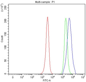 Flow cytometry testing of fixed and permeabilized human JK cells with HDHD5 antibody at 1ug/million cells (blocked with goat sera); Red=cells alone, Green=isotype control, Blue= HDHD5 antibody.