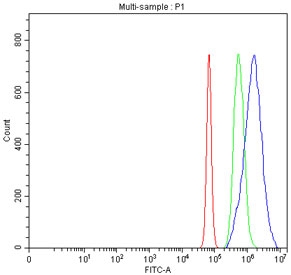 Flow cytometry testing of fixed and permeabilized human JK cells with PHF6 antibody at 1ug/million cells (blocked with goat sera); Red=cells alone, Green=isotype control, Blue= PHF6 antibody.