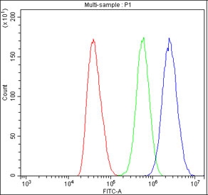 Flow cytometry testing of fixed and permeabilized human A549 cells with ANAPC1 antibody at 1ug/million cells (blocked with goat sera); Red=cells alone, Green=isotype control, Blue= ANAPC1 antibody.