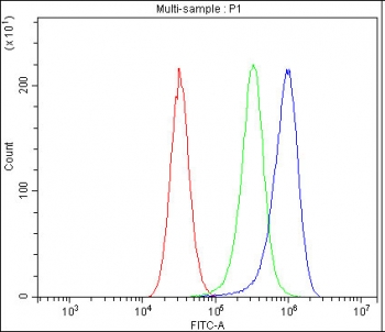 Flow cytometry testing of fixed and permeabilized human Caco-2 cells with Cyclooxygenase 2 antibody at 1ug/million cells (blocked with goat sera); Red=cells alone, Green=isotype control, Blue= Cyclooxygenase 2 antibody.