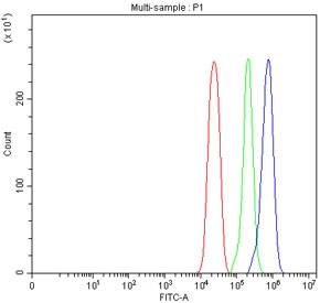 Flow cytometry testing of fixed and permeabilized human U-251 cells with SLC37A3 antibody at 1ug/million cells (blocked with goat sera); Red=cells alone, Green=isotype control, Blue= SLC37A3 antibody.