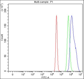 Flow cytometry testing of fixed and permeabilized human HepG2 cells with Pirin antibody at 1ug/million cells (blocked with goat sera); Red=cells alone, Green=isotype control, Blue= Pirin antibody.