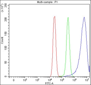 Flow cytometry testing of fixed and permeabilized human MCF7 cells with Peptide deformylase antibody at 1ug/million cells (blocked with goat sera); Red=cells alone, Green=isotype control, Blue= Peptide deformylase antibody.