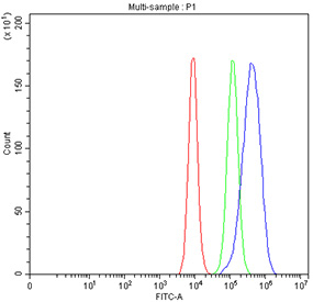 Flow cytometry testing of fixed human Caco-2 cells with SLC39A10 antibody at 1ug/million cells (blocked with goat sera); Red=cells alone, Green=isotype control, Blue= SLC39A10 antibody.