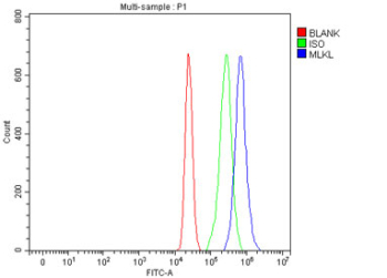 Flow cytometry testing of fixed and permeabilized human MCF7 cells with MLKL antibody at 1ug/million cells (blocked with goat sera); Red=cells alone, Green=isotype control, Blue= MLKL antibody.