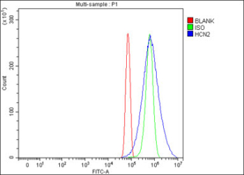 Flow cytometry testing of fixed mouse NIH 3T3 cells with Hcn2 antibody at 1ug/million cells (blocked with goat sera); Red=cells alone, Green=isotype control, Blue= Hcn2 antibody.