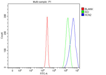 Flow cytometry testing of fixed mouse Neuro-2a cells with Hcn2 antibody at 1ug/million cells (blocked with goat sera); Red=cells alone, Green=isotype control, Blue= Hcn2 antibody.