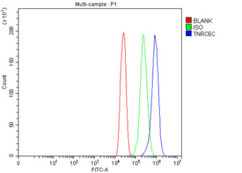 Flow cytometry testing of fixed and permeabilized human U-251 cells with TNRC6C antibody at 1ug/million cells (blocked with goat sera); Red=cells alone, Green=isotype control, Blue= CD59 antibody.
