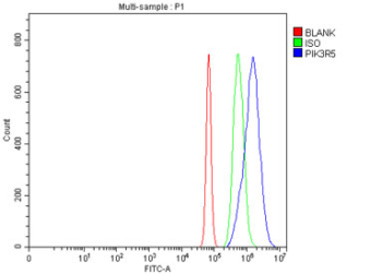 Flow cytometry testing of fixed and permeabilized human JK cells with PIK3R5 antibody at 1ug/million cells (blocked with goat sera); Red=cells alone, Green=isotype control, Blue= PIK3R5 antibody.