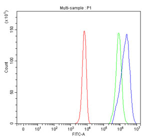 Flow cytometry testing of fixed and permeabilized human K562 cells with STIM1 antibody at 1ug/million cells (blocked with goat sera); Red=cells alone, Green=isotype control, Blue= STIM1 antibody.