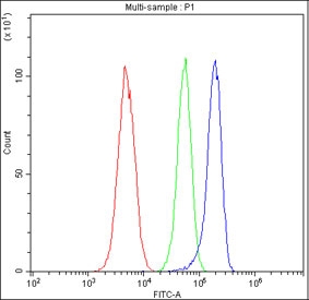 Flow cytometry testing of fixed and permeabilized human HL60 cells with ACACB antibody at 1ug/million cells (blocked with goat sera); Red=cells alone, Green=isotype control, Blue= ACACB antibody.