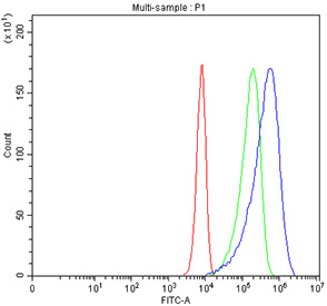 Flow cytometry testing of fixed and permeabilized human K562 cells with AqCbl reductase antibody at 1ug/million cells (blocked with goat sera); Red=cells alone, Green=isotype control, Blue= AqCbl reductase antibody.