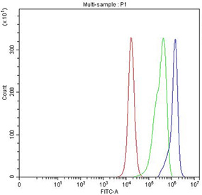 Flow cytometry testing of fixed and permeabilized human PC-3 cells with SMC4 antibody at 1ug/million cells (blocked with goat sera); Red=cells alone, Green=isotype control, Blue= SMC4 antibody.