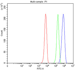Flow cytometry testing of fixed and permeabilized human K562 cells with PDCD2 antibody at 1ug/million cells (blocked with goat sera); Red=cells alone, Green=isotype control, Blue= PDCD2 antibody.