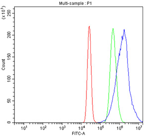 Flow cytometry testing of fixed and permeabilized human K562 cells with GAR1 antibody at 1ug/million cells (blocked with goat sera); Red=cells alone, Green=isotype control, Blue= GAR1 antibody.