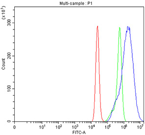 Flow cytometry testing of fixed and permeabilized human Caco-2 cells with CBS antibody at 1ug/million cells (blocked with goat sera); Red=cells alone, Green=isotype control, Blue= CBS antibody.