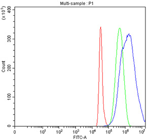 Flow cytometry testing of fixed and permeabilized human HepG2 cells with HPD antibody at 1ug/million cells (blocked with goat sera); Red=cells alone, Green=isotype control, Blue= HPD antibody.