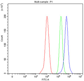Flow cytometry testing of fixed and permeabilized human ThP-1 cells with GLRX antibody at 1ug/million cells (blocked with goat sera); Red=cells alone, Green=isotype control, Blue= GLRX antibody.