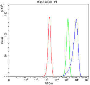 Flow cytometry testing of fixed and permeabilized mouse EL4 cells with Hephaestin antibody at 1ug/million cells (blocked with goat sera); Red=cells alone, Green=isotype control, Blue= Hephaestin antibody.