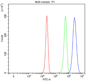 Flow cytometry testing of fixed and permeabilized human HepG2 cells with SPRED2 antibody at 1ug/million cells (blocked with goat sera); Red=cells alone, Green=isotype control, Blue= SPRED2 antibody.