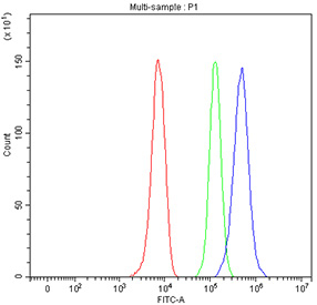 Flow cytometry testing of fixed and permeabilized human HepG2 cells with NDUFS1 antibody at 1ug/million cells (blocked with goat sera); Red=cells alone, Green=isotype control, Blue= NDUFS1 antibody.