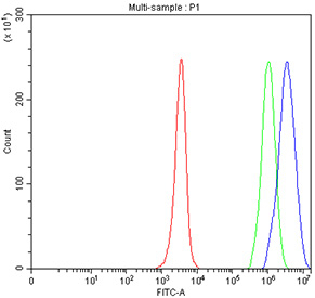 Flow cytometry testing of fixed and permeabilized human JK cells with PSMC1 antibody at 1ug/million cells (blocked with goat sera); Red=cells alone, Green=isotype control, Blue= PSMC1 antibody.