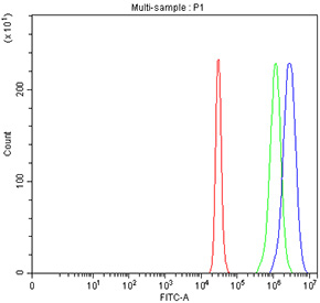 Flow cytometry testing of fixed and permeabilized human 293T cells with POLR3D antibody at 1ug/million cells (blocked with goat sera); Red=cells alone, Green=isotype control, Blue= POLR3D antibody.
