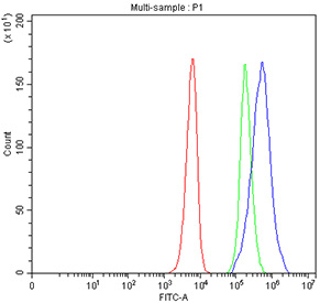 Flow cytometry testing of fixed and permeabilized human SiHa cells with CPT2 antibody at 1ug/million cells (blocked with goat sera); Red=cells alone, Green=isotype control, Blue= CPT2 antibody.