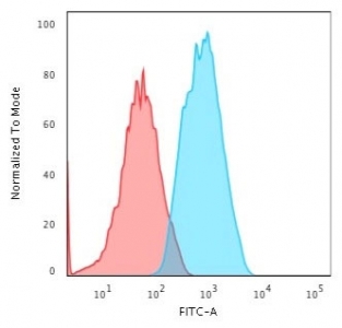 Flow cytometry testing of fixed human HeLa cells with Smooth Muscle Actin antibody (clone 1A4); Red=isotype control, Blue= Smooth Muscle Actin antibody.
