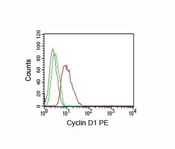 Cyclin D1 antibody FACS MCF-7
