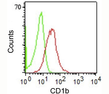 CD1b antibody RIV12 flow cytometry