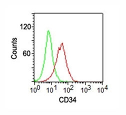 CD34 Antibody for FACS PE. Flow cytometry analysis of CD34 surface expression in human KG-1 cells using a Bright Signal Detection Antibody, clone ICO-115 conjugated to PE, shows a clear right-shifted population (red) compared to isotype control (green), indicating enhanced fluorescence intensity and specific detection of CD34-positive cells. The strong signal and distinct population separation support accurate gating of leukemia-associated blast populations and highlight the antibodyâs suitability for detecting low-abundance or dim CD34 expression in flow cytometry.