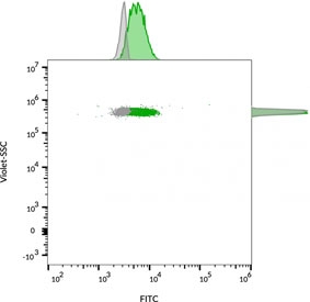 FACS staining of bead-bound exosomes derived from human MCF7 cells: Gray = unstained, Green = CF488 labeled CD63 antibody.