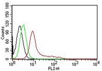 Ku70 + Ku80 PE Antibody for FACS / XRCC6 + XRCC5 High-Sensitivity Flow Cytometry Antibody. Flow cytometry analysis of human K562 cells using Ku70 + Ku80 antibody clone KU729. Cells were fixed and permeabilized to enable intracellular detection of the nuclear Ku heterodimer. The red histogram (PE-conjugated Ku70 + Ku80 antibody) demonstrates a strong rightward shift compared to the black histogram (cells alone) and green histogram (isotype control), indicating high-intensity specific staining of XRCC6/XRCC5. The enhanced signal separation highlights the increased fluorescence output of the PE conjugate, enabling sensitive detection of intracellular Ku70 and Ku80 with low background and clear population resolution.