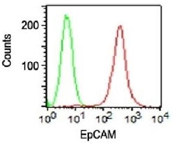 EpCAM Antibody PE Conjugate FACS. Surface FACS staining of HT29 cells using PE conjugated EpCAM antibody (red, clone VU-1D9) and isotype control antibody (green).