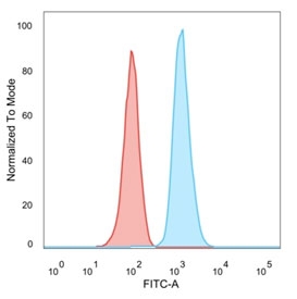 Human Nuclear Antigen Antibody Raji FACS. Flow cytometry analysis of PFA-fixed human Raji cells stained with Human Nuclear Antigen Antibody (clone 235-1) demonstrates a pronounced rightward shift in fluorescence intensity relative to the isotype control population. The distinct separation between the positive and control peaks confirms robust recognition of Human Nuclear Antigen (HNA) and effective labeling of human-derived B lymphocyte cells. Minimal overlap between the antibody-stained and control populations indicates specific target detection and strong signal-to-background performance. The observed staining supports the use of clone 235-1 for identification, characterization, and tracking of human cells by flow cytometry, including applications involving lymphoma research, immune cell analysis, transplantation studies, xenograft models, and evaluation of human-derived cell populations in complex experimental systems.