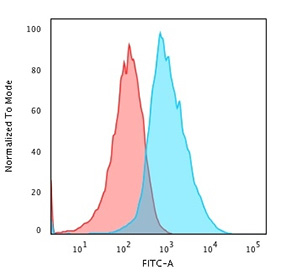 Glypican 3 antibody (clone SPM595) used to staining PFA-fixed human HepG2 cells.