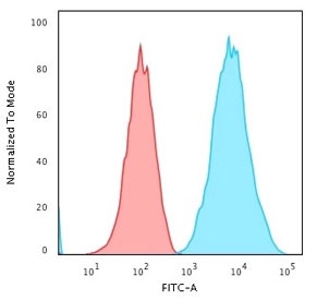 Flow cytometry testing of human Raji cells with HLA-DRB1 antibody (clone SPM289); Red=isotype control, Blue= HLA-DRB1 antibody.
